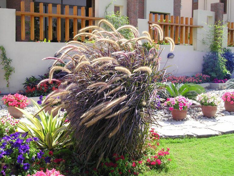 Why Is My Garden Boundary Wall or Fence Cracking?