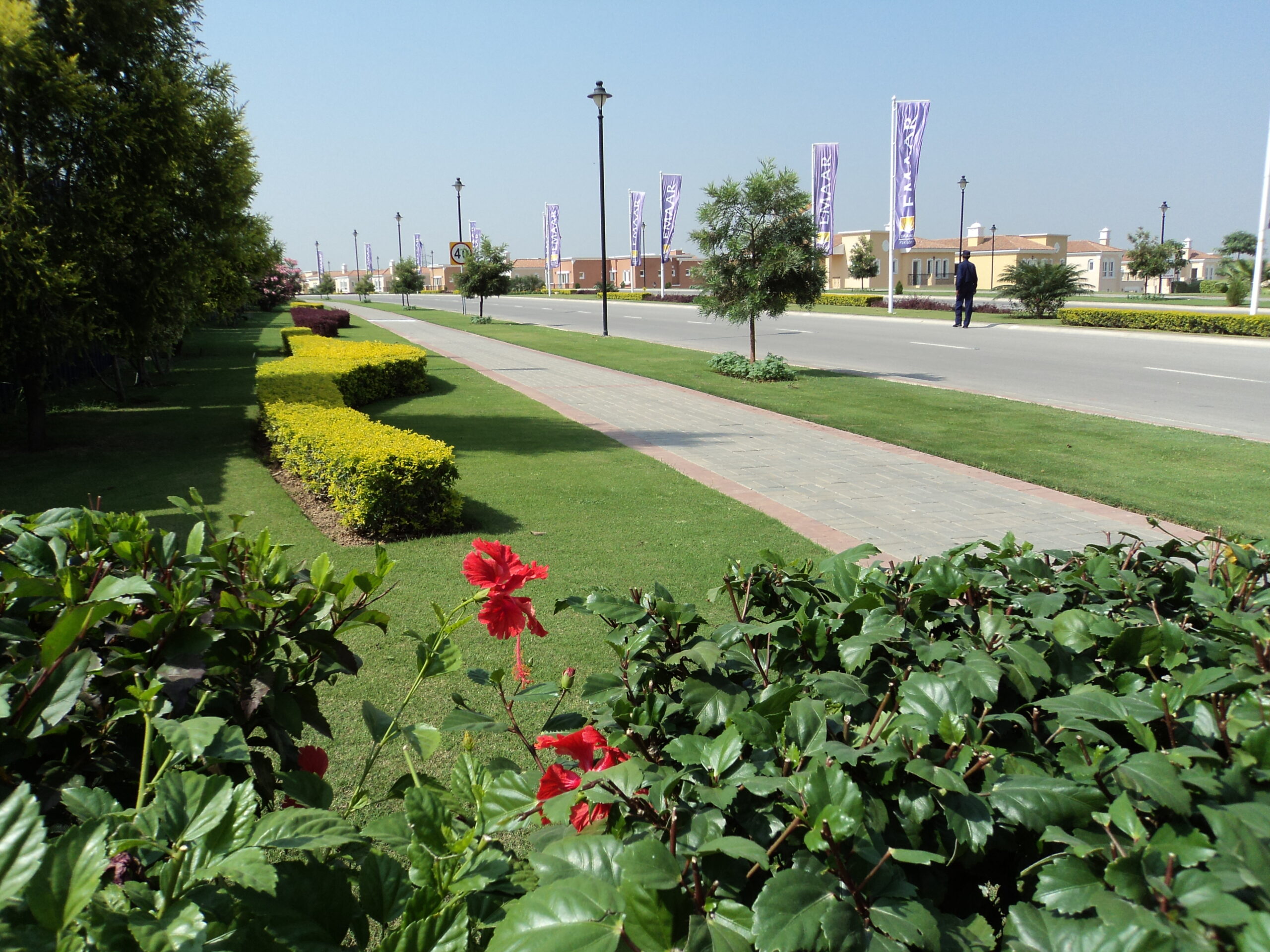 Landscaping Services Riyadh