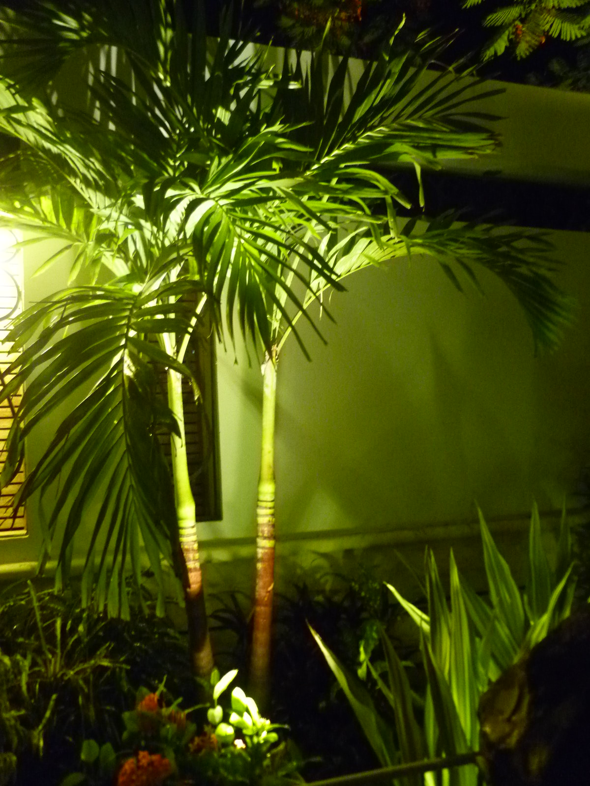 Decorative Exterior Lighting Outdoor Wall Lights Riyadh