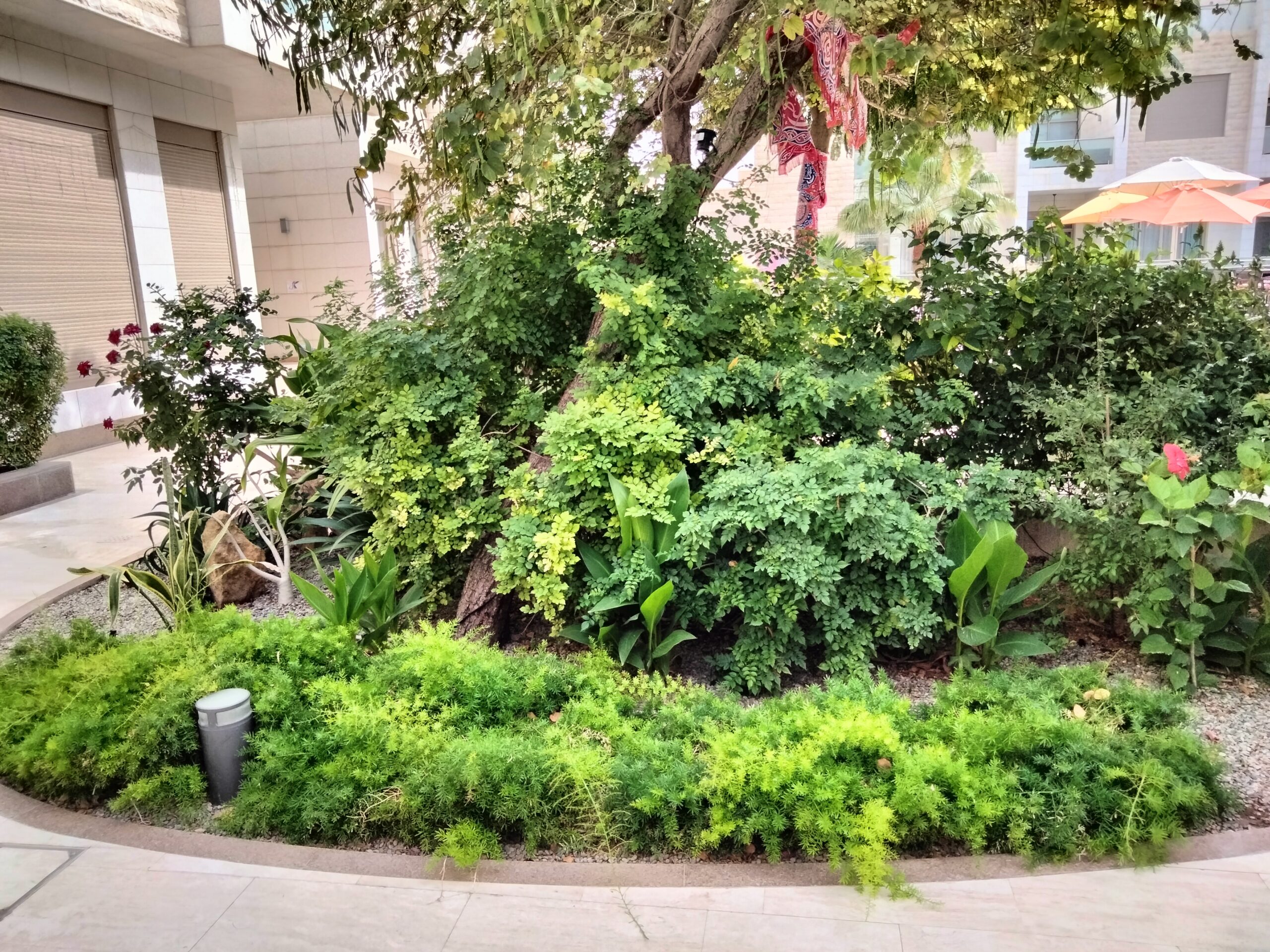 Soft Landscaping Softscape Riyadh