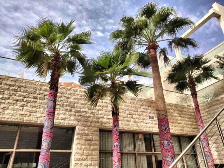 Why Are My Date Palms Not Growing Well?
