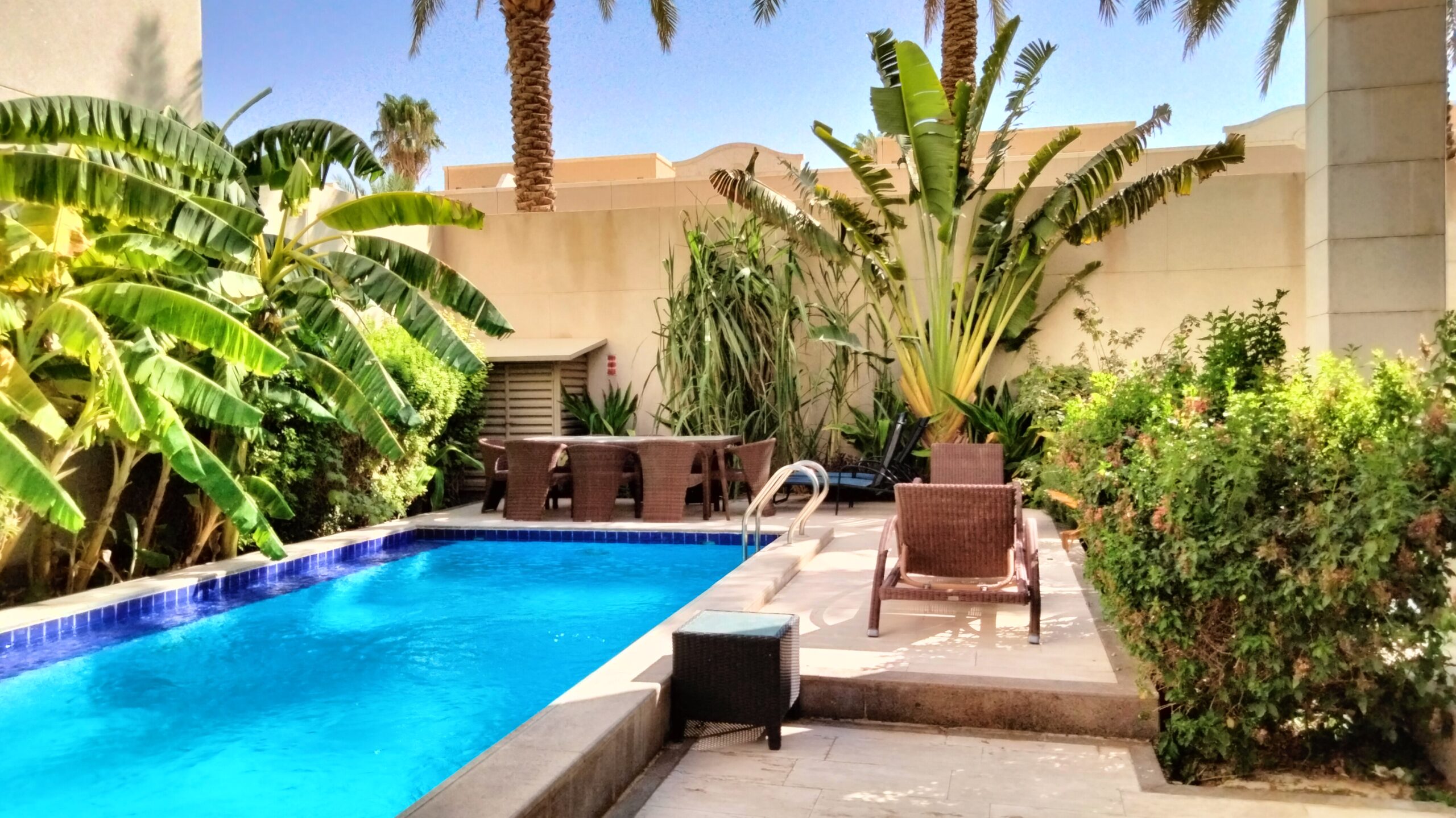 Landscaping Companies Property Owners Sourcing Riyadh