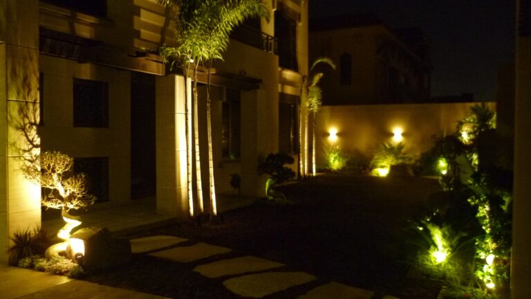 How to Choose Privacy Screening Plants That Actually Work